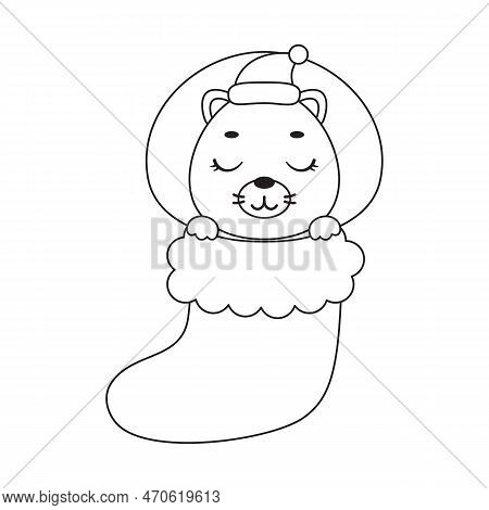 Coloring Page Cute Little Lion In Christmas Sock. Coloring Book For Kids. Edulionional Activity For 
