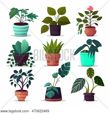 Set Vector Illustration Of Home Plant In Clay Pot Isolate On White Background