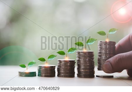 Stacking Of Money Coins With Plants Growing On Top And Hand Put A One Of Stack Of Coins, Concept Ide