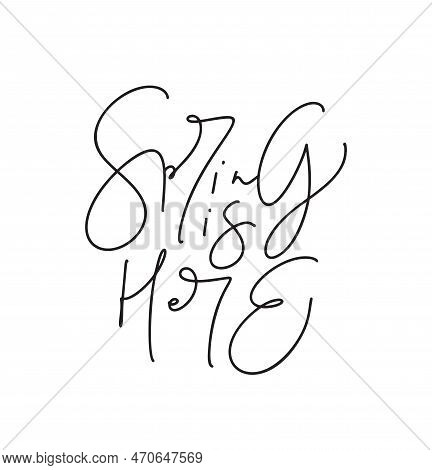 Spring Is Here Lettering Lettering Vector. Modern Style Brush Calligraphy Banner. March Decoration S