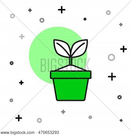 Filled Outline Plant In Pot Icon Isolated On White Background. Plant Growing In A Pot. Potted Plant 