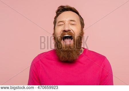 Excited Bearded Man In Magenta T-shirt Laughing With Closed Eyes Isolated On Pink.