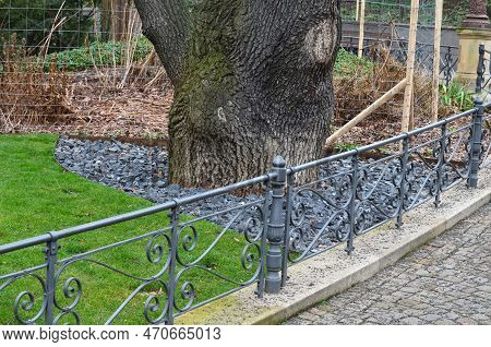 Under Crown Of Old Oak In Front Of The Perennial Bed, Several Circular Holes Are Drilled In Lawn Soi