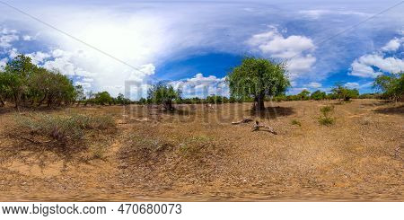 Savannah And Forest In Kumana National Park, Sri Lanka. Savanna And Grass Fields. 360 Panorama Vr.