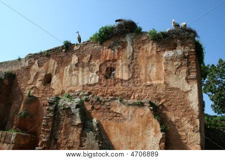 Cellah i Rabat