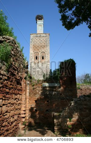 Cellah i Rabat