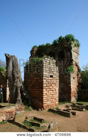 Cellah i Rabat