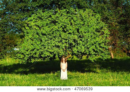 woman and tree