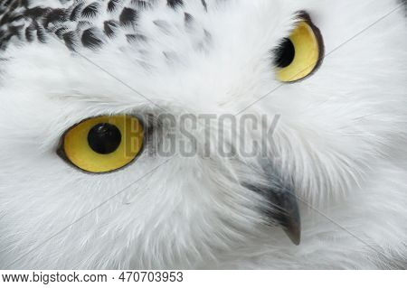 Look At The Eyes, Saying Something To You