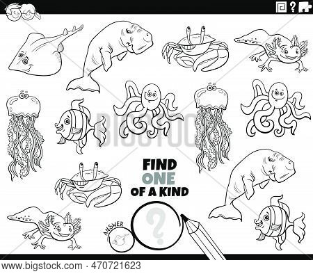 Black And White Cartoon Illustration Of Find One Of A Kind Picture Educational Task With Comic Marin