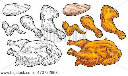 Part Cutting Of Roasted Chicken - Whole, Leg, Wing And Breast Halves. Vintage Color Engraving