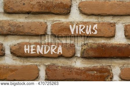 Hendra Virus Symbol. Concept Words Hendra Virus On Red Brown Brick Wall. Beautiful Red Brown Brick W