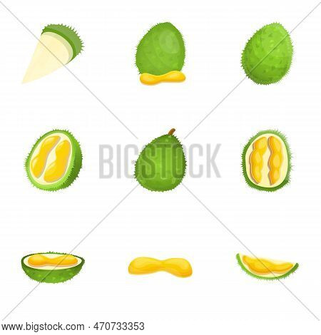 Durian Icon Set. Cartoon Set Of 9 Durian Icons For Web Design Isolated On White Background
