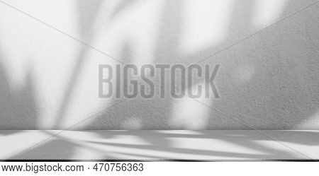 Shadow Plant Background,abstract Pattern Texture Design Overlay Leaves From Sun Light On Wall Floor 