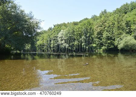 Detail Of River Kupa Near Orljakovo In Croatia