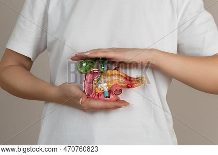 Woman Holding Pancreas In The Hands. Help And Care Concept