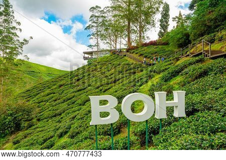 Cameron Highlands, Malaysia - 2023: Boh Tea Centre In Cameron Highlands Is Renowned As One Of The Bi