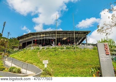 Cameron Highlands, Malaysia - 2023: Boh Tea Centre Also Features A Gift Shop, Restaurant, And Scenic