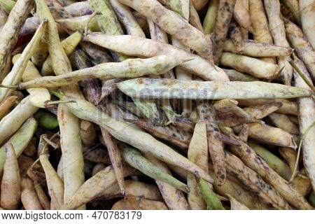Close-up On A Stack Of Coco De Paimpol Beans On A Market Stall.