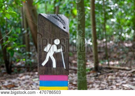 Hiking Sign In The Trail Around The Macritchie Reservoir In Singapore.