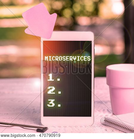 Conceptual Caption Microservices. Business Overview Software Development Technique Building Single F