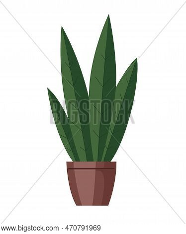 Vector Cartoon House Plant In A Pot. Succulent With Long Leaves For Office Or Home Interior Design. 
