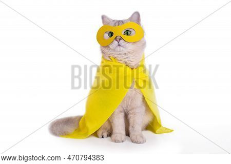 White Cat In A Yellow Mask And Cape, Sits On Isolated White Background