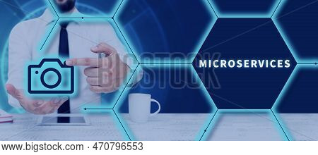 Conceptual Display Microservices. Word Written On Software Development Technique Building Single Fun
