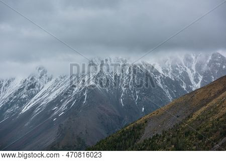 Atmospheric Aerial Landscape With Green Forest On Gold Mountainside Against High Snowy Mountain Rang