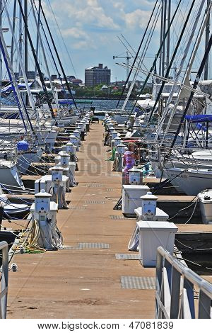 Charleston Harbor