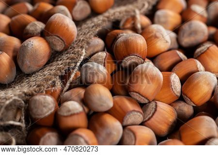 Hazelnuts, Filbert On Old Wooden Table. Heap Or Stack Of Hazel Nuts. Hazelnut Background, Healty Foo