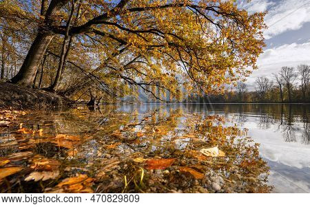 Panoramic Image Of Unterbach Lake Close To Dusseldorf During Autumn, Germany