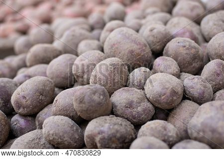 Close Up Shot Of Fresh Young Potatoes. Natural Background, Agricultural Concept