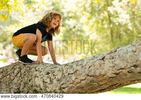 Funny Child Climbing A Tree In The Garden. Active Kid Playing Outdoors. Portrait Of Cute Kid Boy Sit