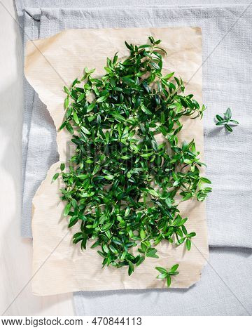 Cut Myrtle Leaves On Paper. Myrtle Sprigs For Tea Or Spice.