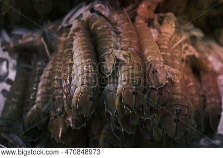 Crayfish Or Mantis Shrimp On Ice In Thailand Market ,seafood Background
