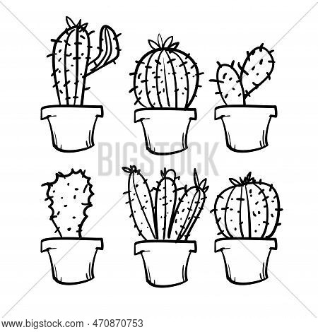 Doodle Exotic Cactuses Plants Summer Desert Tropical Flora Cartoon Botanical Hand Drawn Cartoon Styl
