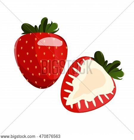 Whole Strawberry And Sliced Half Strawberry. Fresh Red Ripe Mellow Berry On White Background. Vector