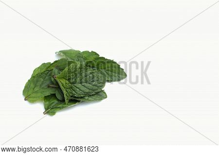 Closeup Of Mint Leaves Or Pudina Leaves Isolated On White Background With Copy Space For Texts Writi