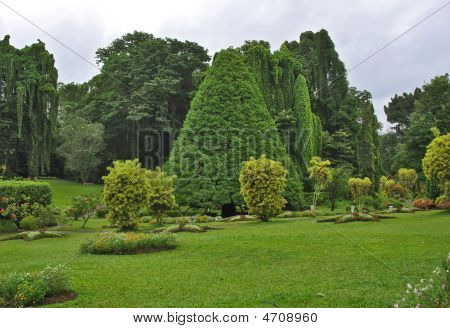 Jardin botanique de Kandy