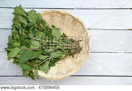 Top View Of Fresh And Organic Mint Leaves Or Pudina Leaves In A Bamboo Basket Isolated On White Wood