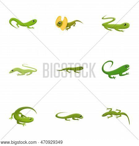 Green Lizard Icon Set. Cartoon Set Of 9 Green Lizard Icons For Web Design Isolated On White Backgrou