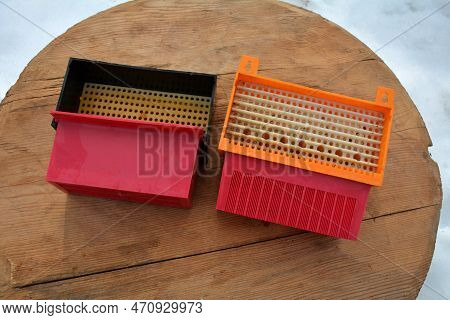 Apiary Pollen Collector. Pollen Trap For Collecting Pollen Pellets From Legs Of Honey Bees