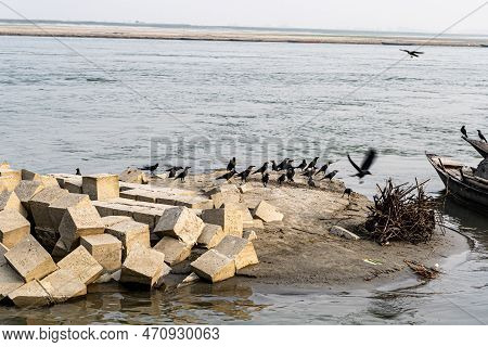 Gray Cement Cinder Block Isolated On River Side. Granite Bolder In Infront Of River. A Pile Of Four 