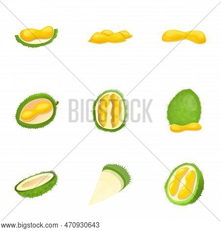 Tropical Durian Icon Set. Cartoon Set Of 9 Tropical Durian Icons For Web Design Isolated On White Ba