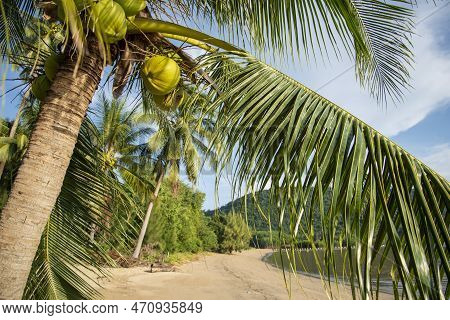 Thailand Prachuap Bang Saphan Bo Thong Lang Bay