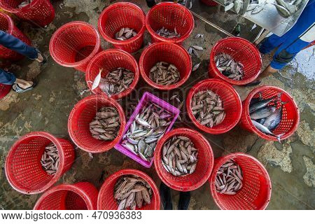 The Fish Market And Harbour At The Pak Nam Pran Fishing Village Near The City Of Hua Hin In The Prov