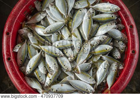 Thailand Prachuap Hua Hin Pak Nam Pran Fishing Village