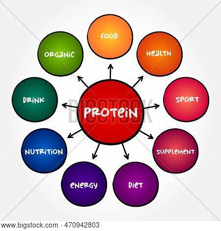 Protein Are Large Biomolecule And Macromolecule That Comprise One Or More Long Chains Of Amino Acid 