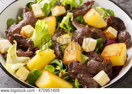 Delicious French Salad With Gizzards, Potatoes, Lettuce, Onions And Croutons Close-up In A Plate On 